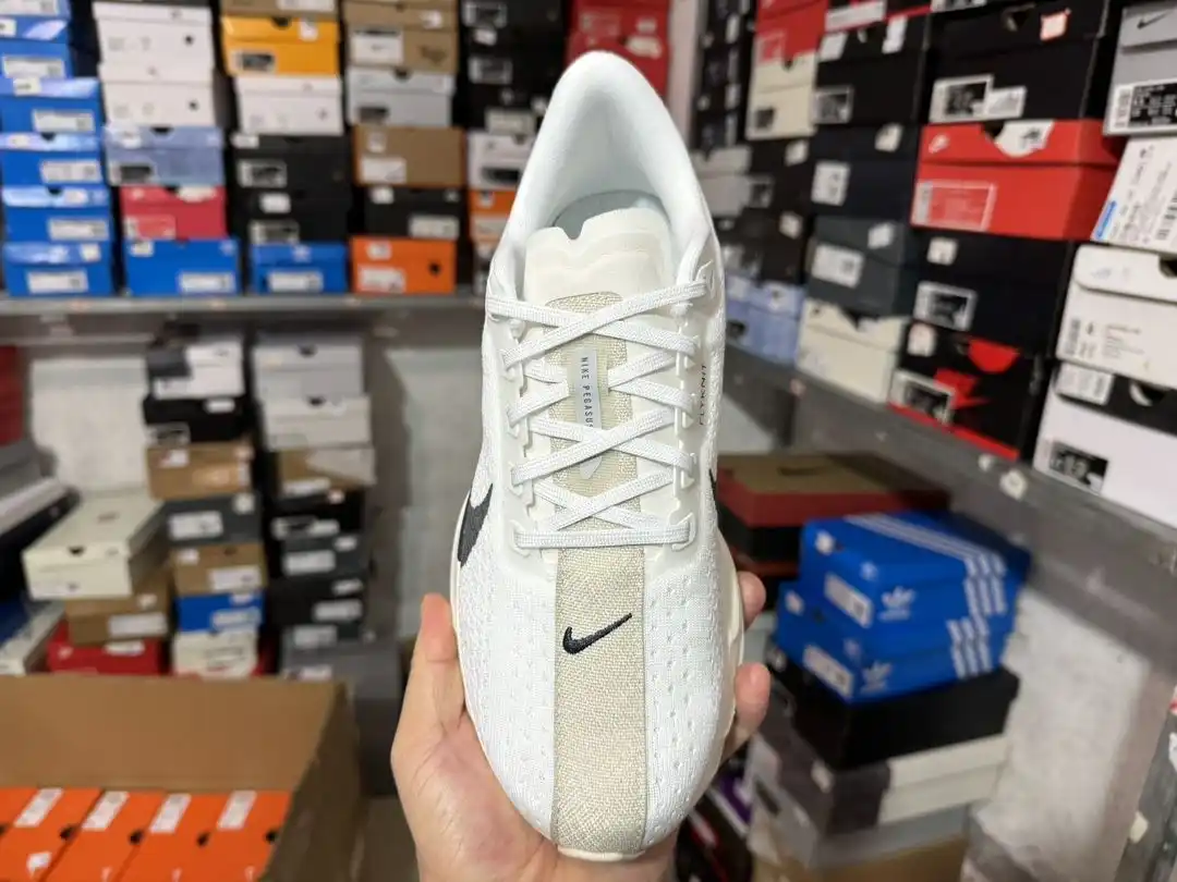 wsxc1730478040347_1.webp