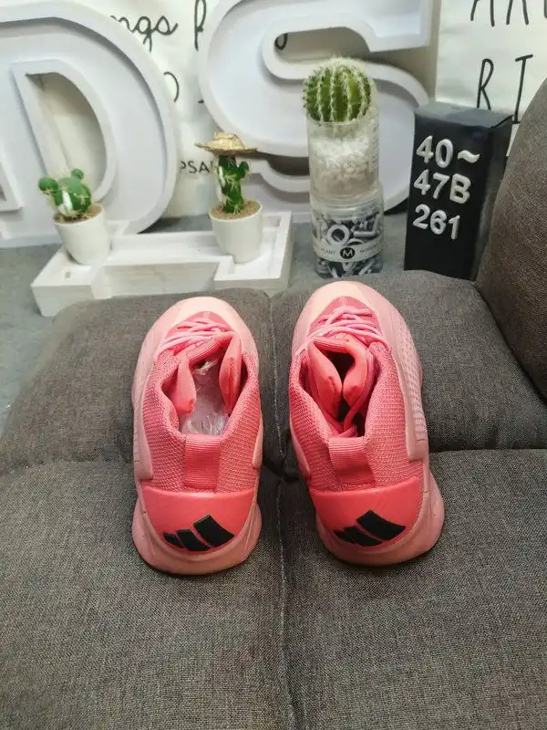 IMG_20241024_000246.webp