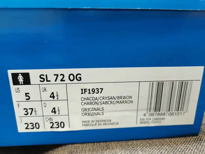 IMG_20241027_215610.webp