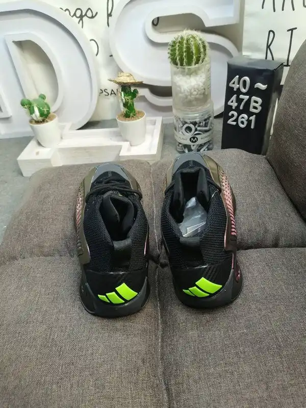 IMG_20241024_004431.webp