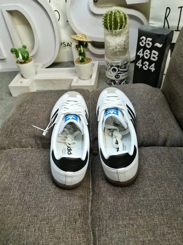 IMG_20241101_013909.webp