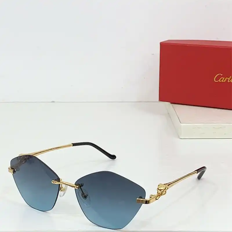 IMG_2982.webp