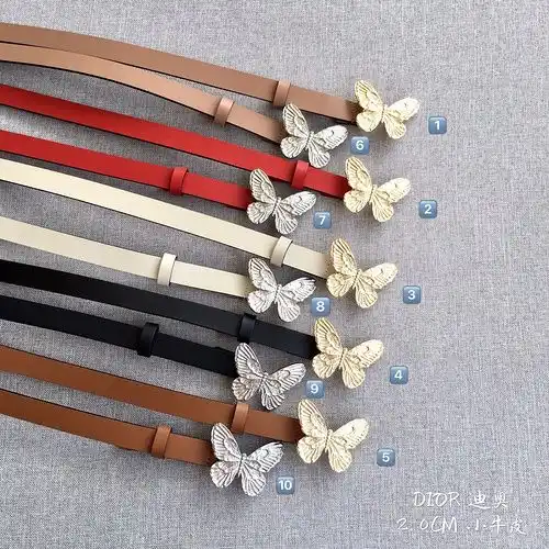 Dior Belt wholesale Dior 's Belt wholesale original Leather Materials SPOT Promotion width 2cm FITTI