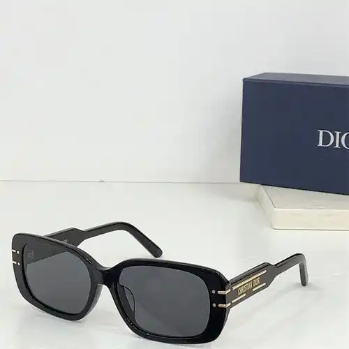 Diorsignature s2f