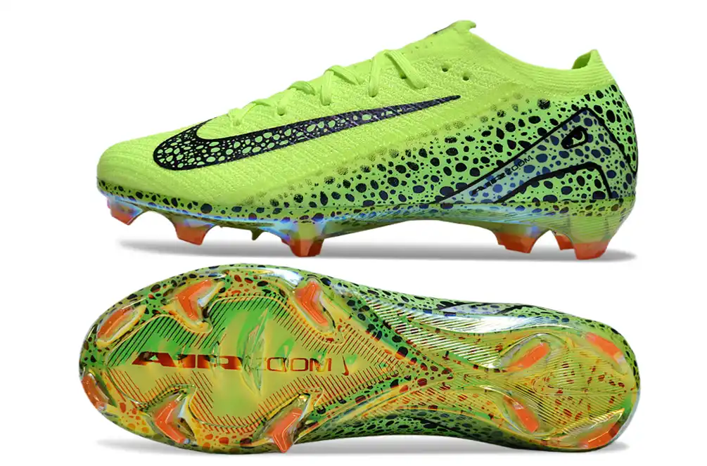 DSC_2003.webp