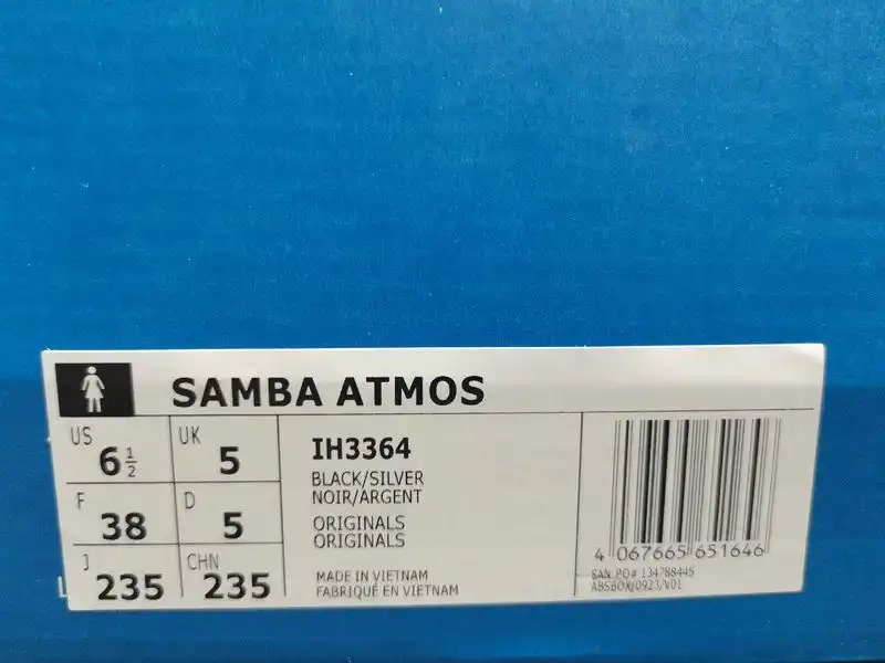 IMG_20241118_215854.webp