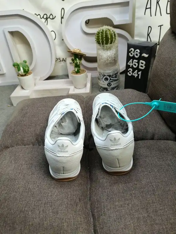 IMG_20241205_233211.webp