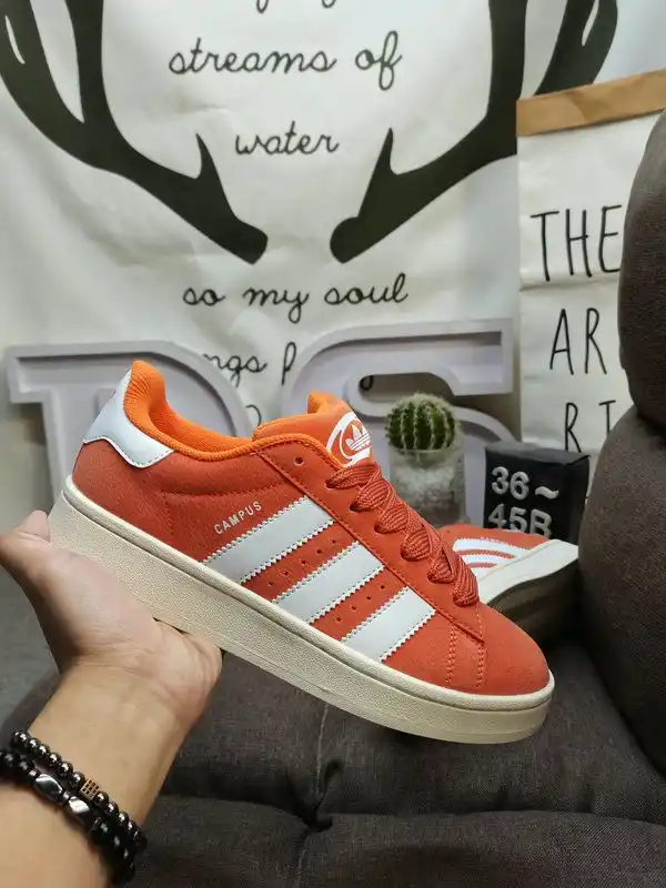 IMG_20241130_234500.webp