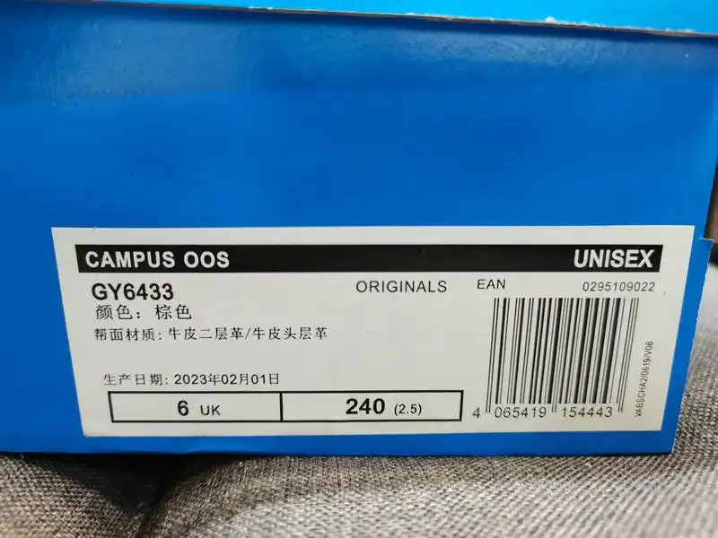 IMG_20241130_235106.webp