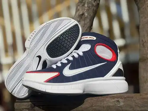 2k4 Kids shoes Dream Team
