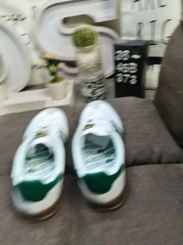 IMG_20241228_233247.webp