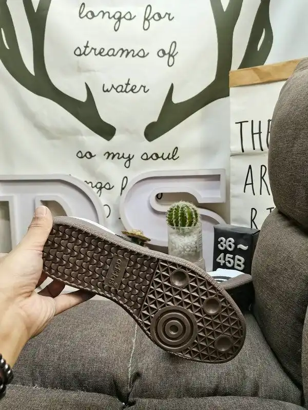 IMG_20241212_020258.webp