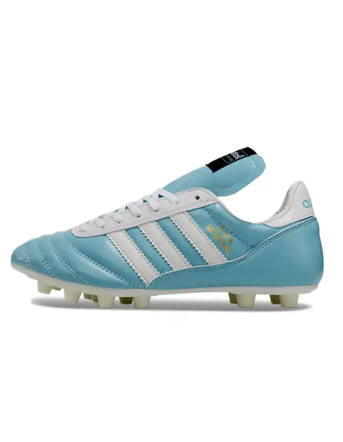 DSC_0216.webp