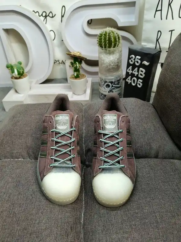 IMG_20241220_214645.webp