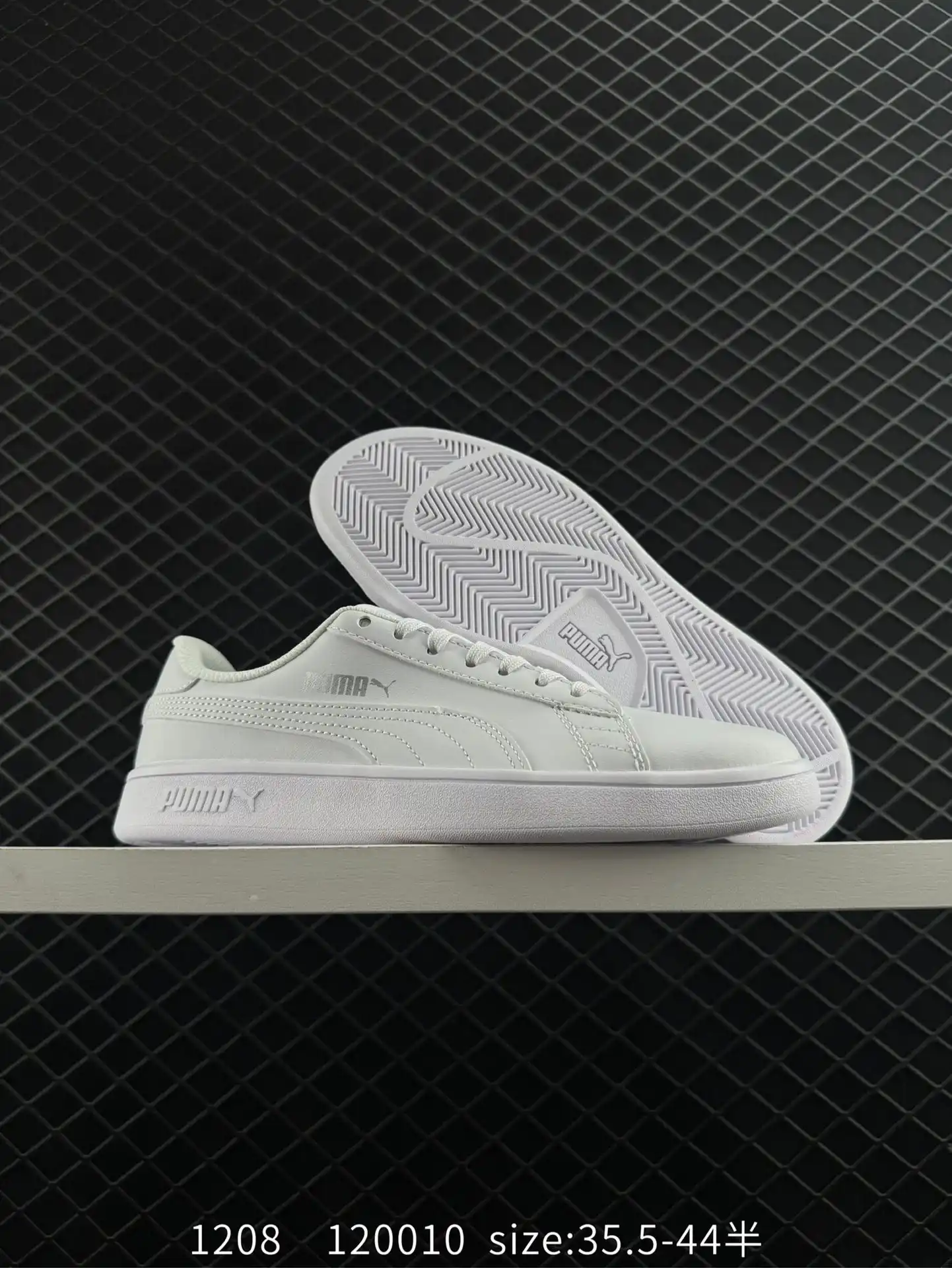 wsxc1734184502977_5.webp