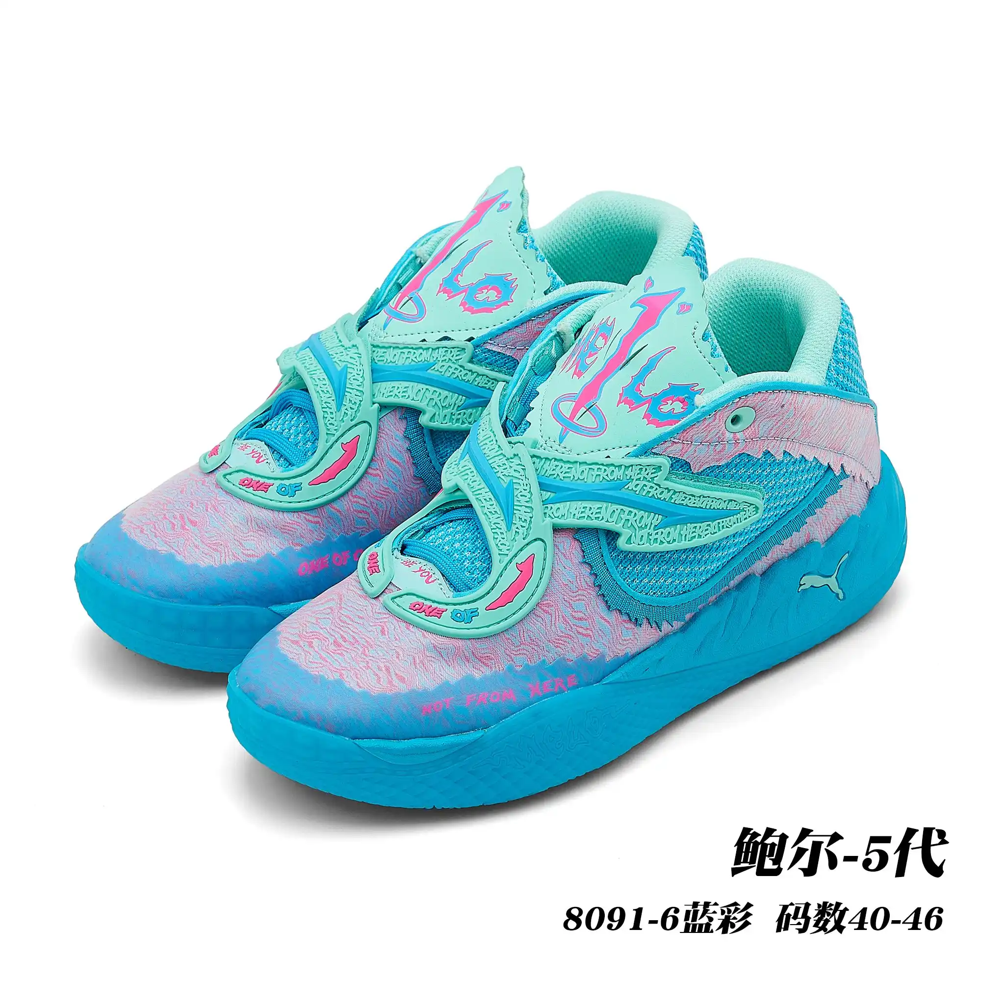 f523f46a.webp