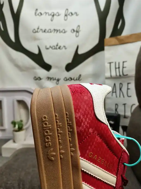 IMG_20250112_002725.webp