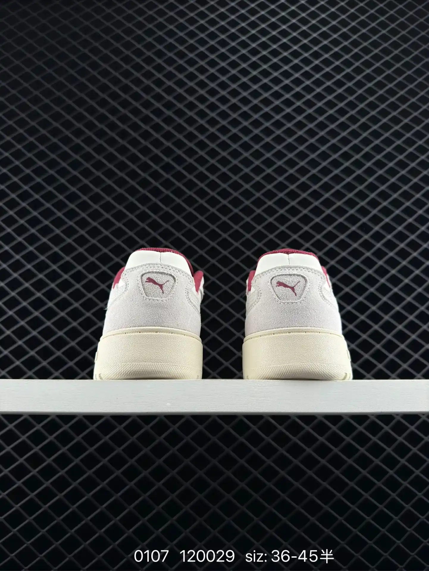 wsxc1736295996350_3.webp