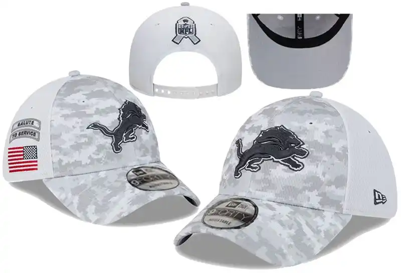 Detroit Lions/底特律雄狮