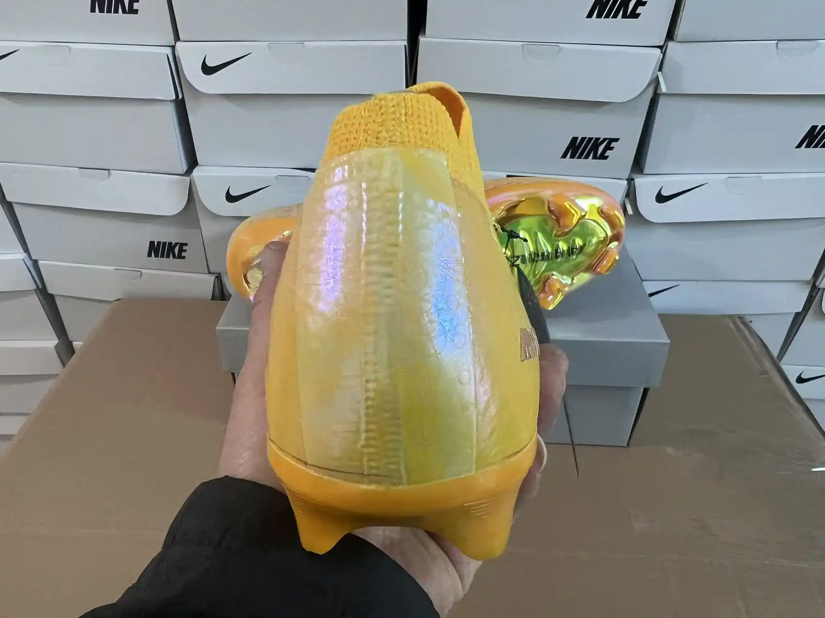 微信图片_202501131314433.webp