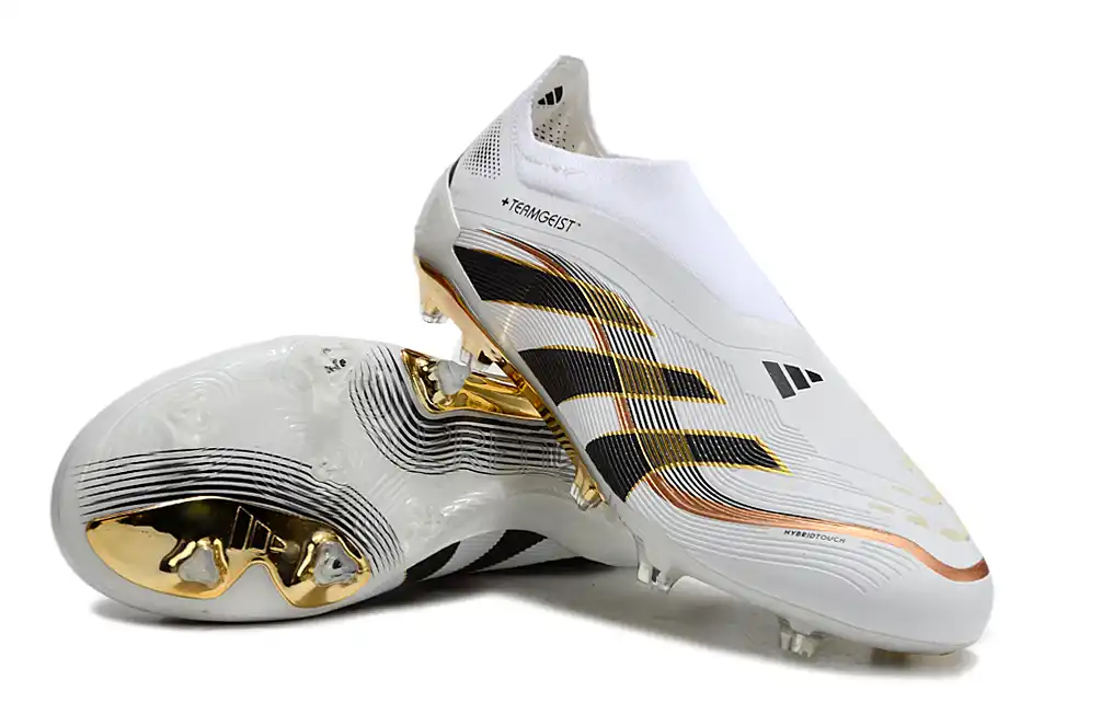 DSC_1911.webp