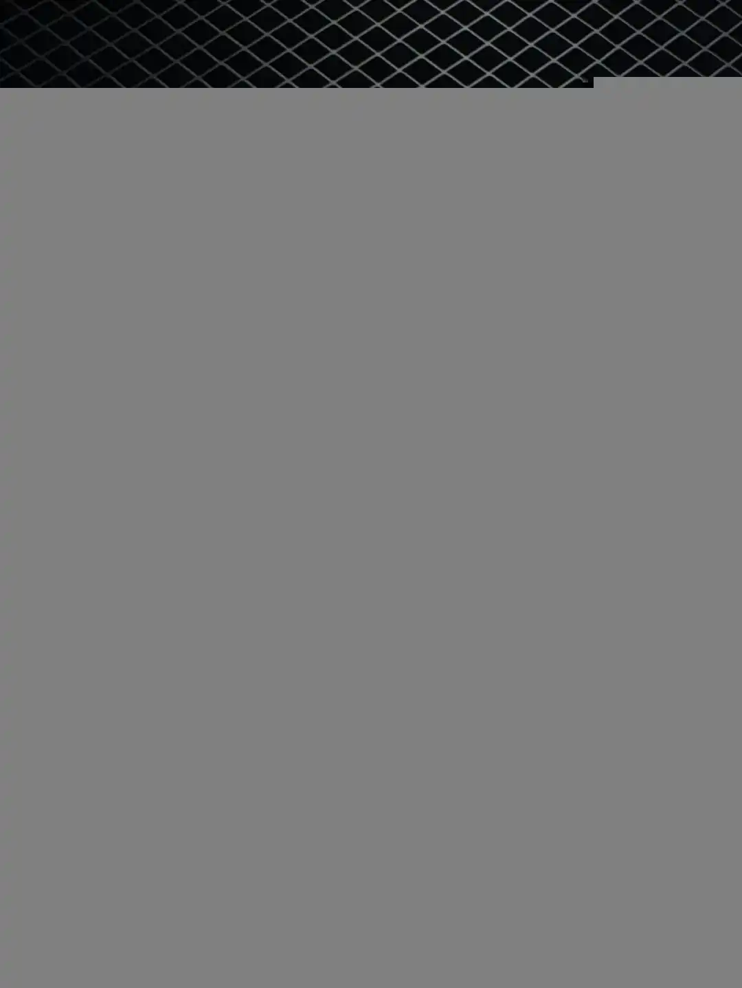 wsxc1736210077167_6.webp