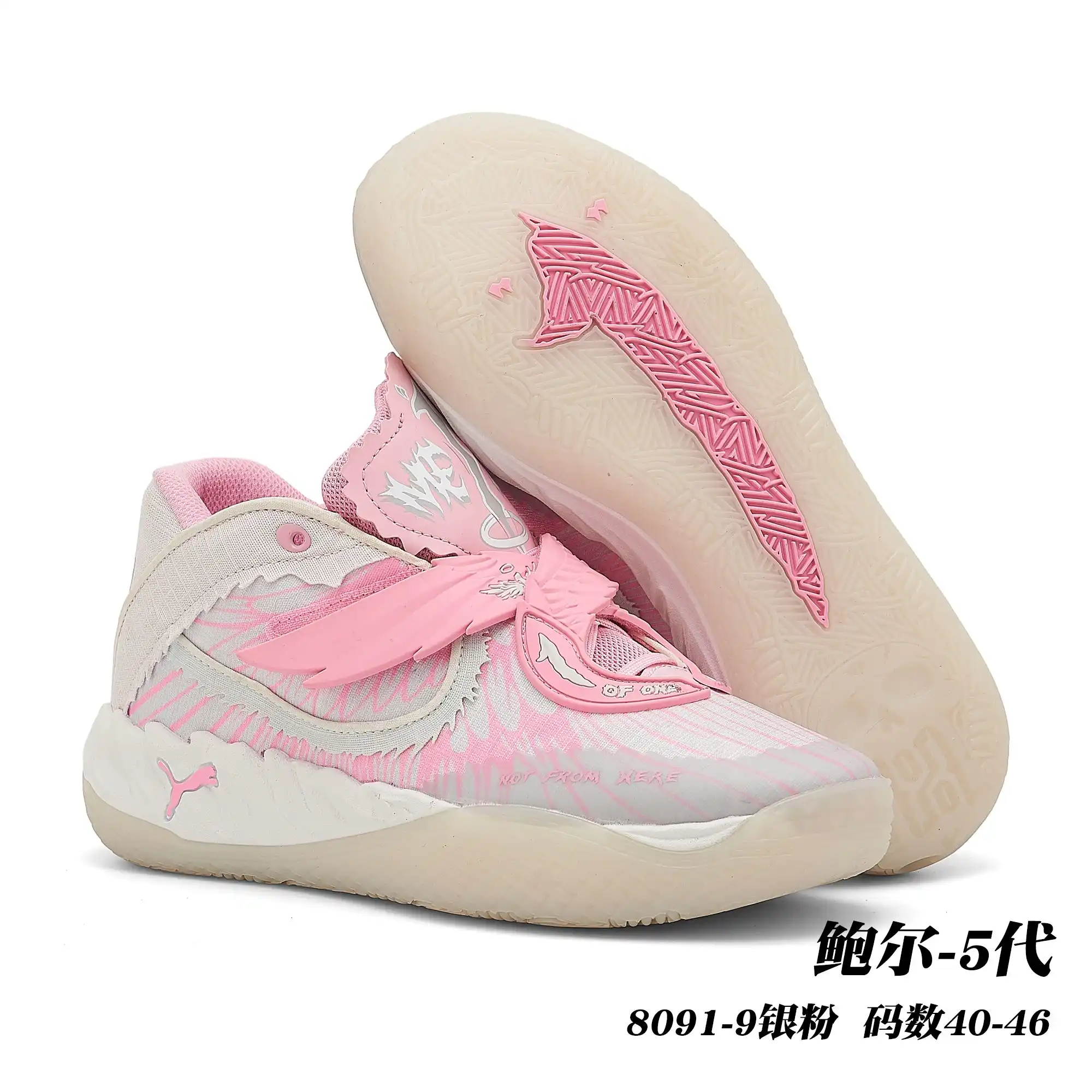 e45a4988.webp