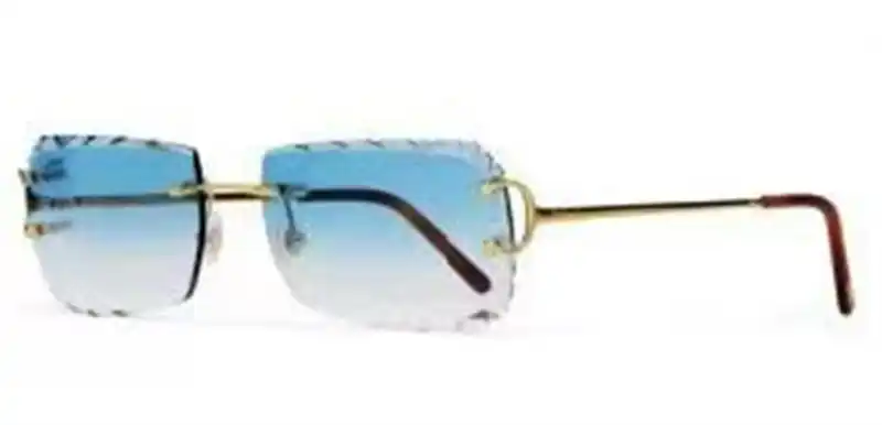 IMG_9519.webp