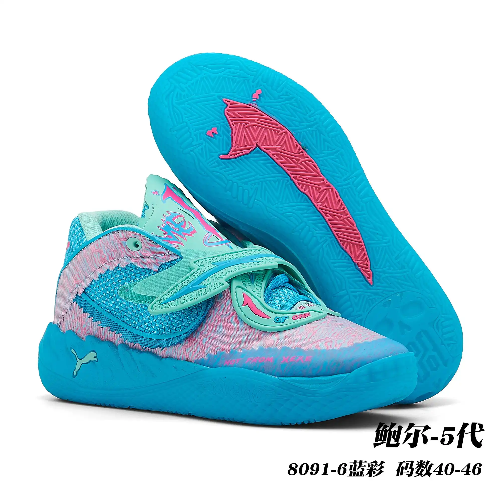 1cb15019.webp