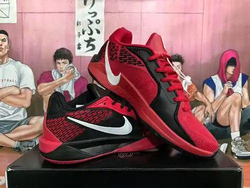 Rojo y negro 3646