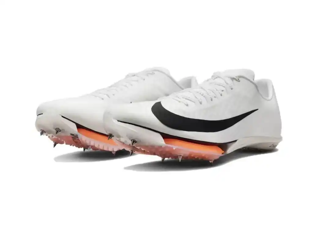 微信图片_20241209130210.webp