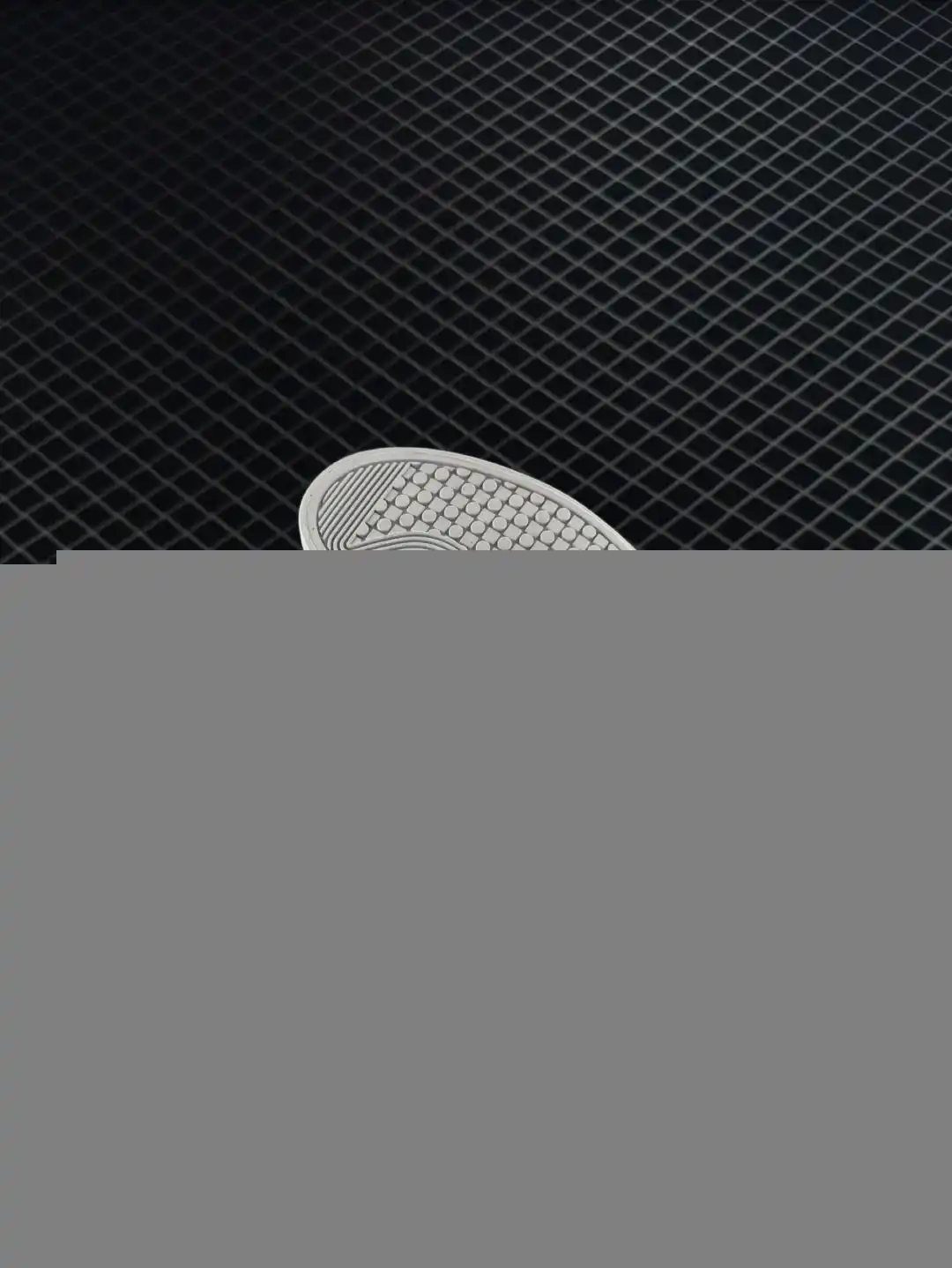 wsxc1741528407836_5.webp