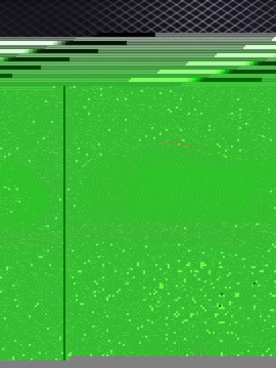 wsxc1741044075560_2.webp