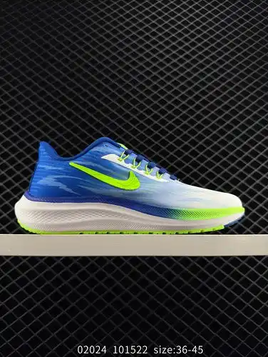 Nike COURT BOROUGH LOW 2 GS Lunar Running Shoe Lunar 39ª generación de zapatillas de correr de malla