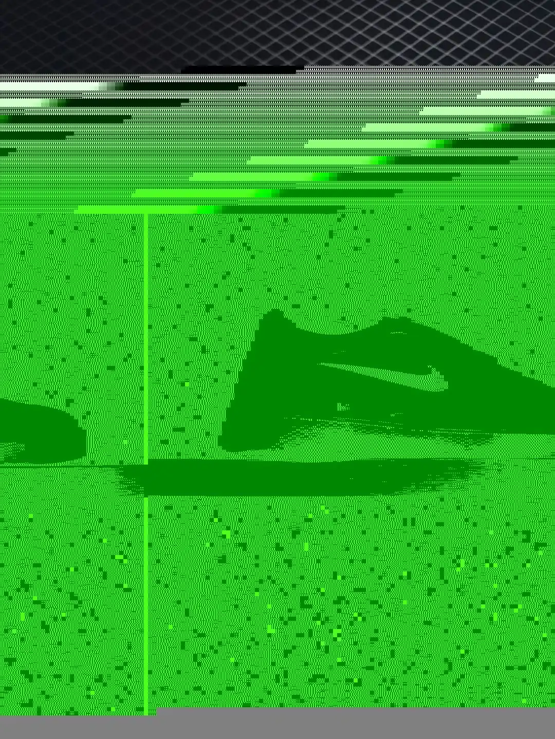 wsxc1741448690352_1.webp