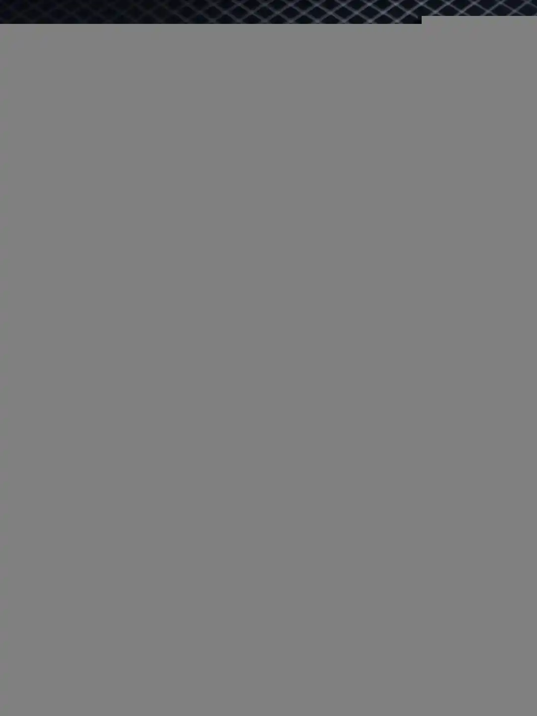 wsxc1740791886562_4.webp