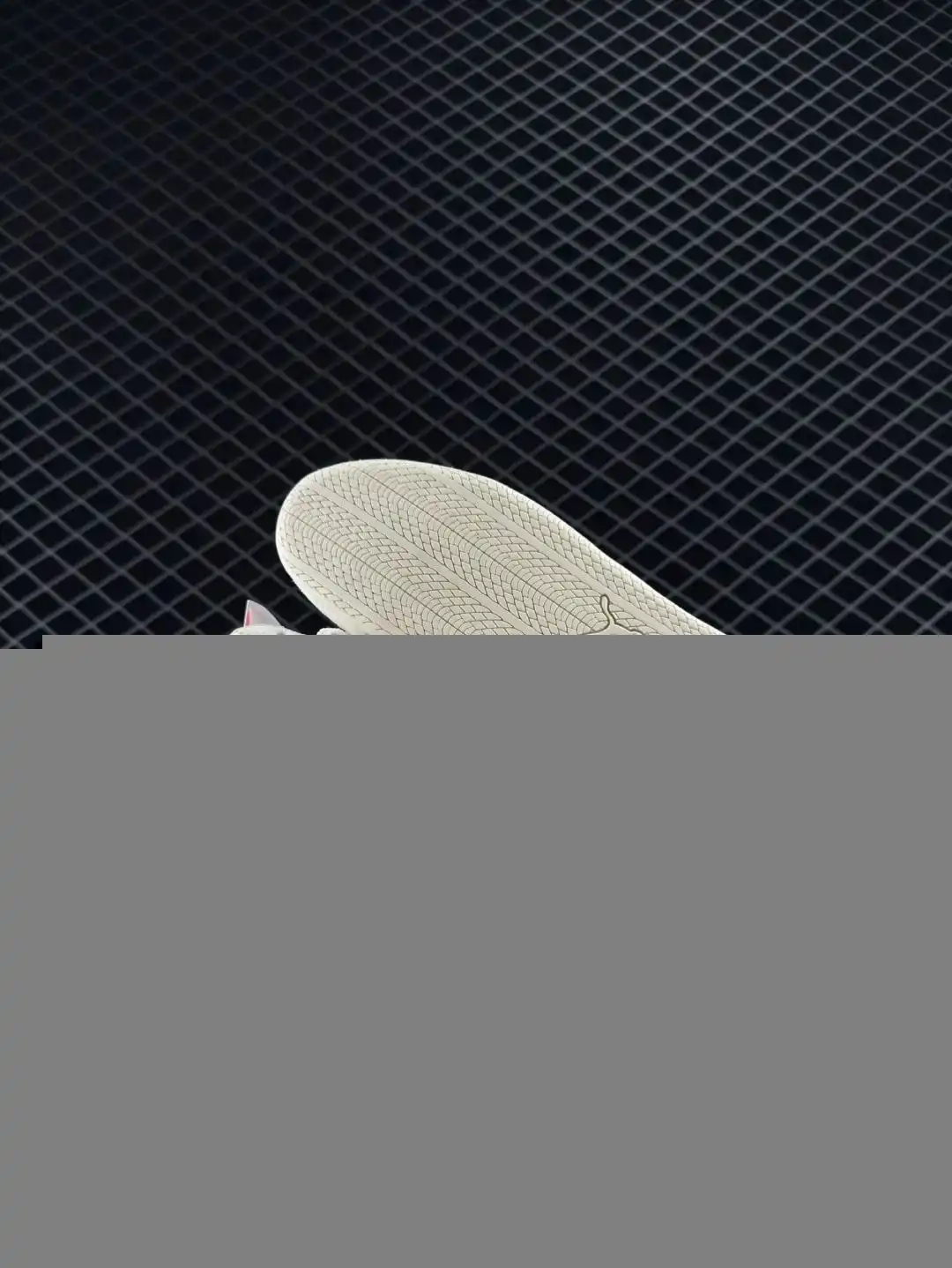 wsxc1743450234833_5.webp