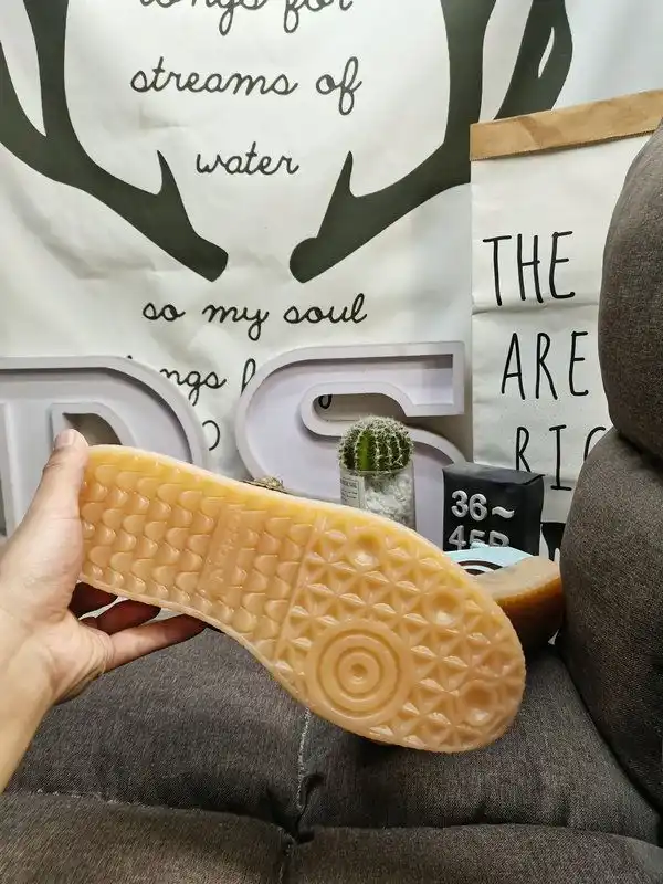 IMG_20250314_004123.webp