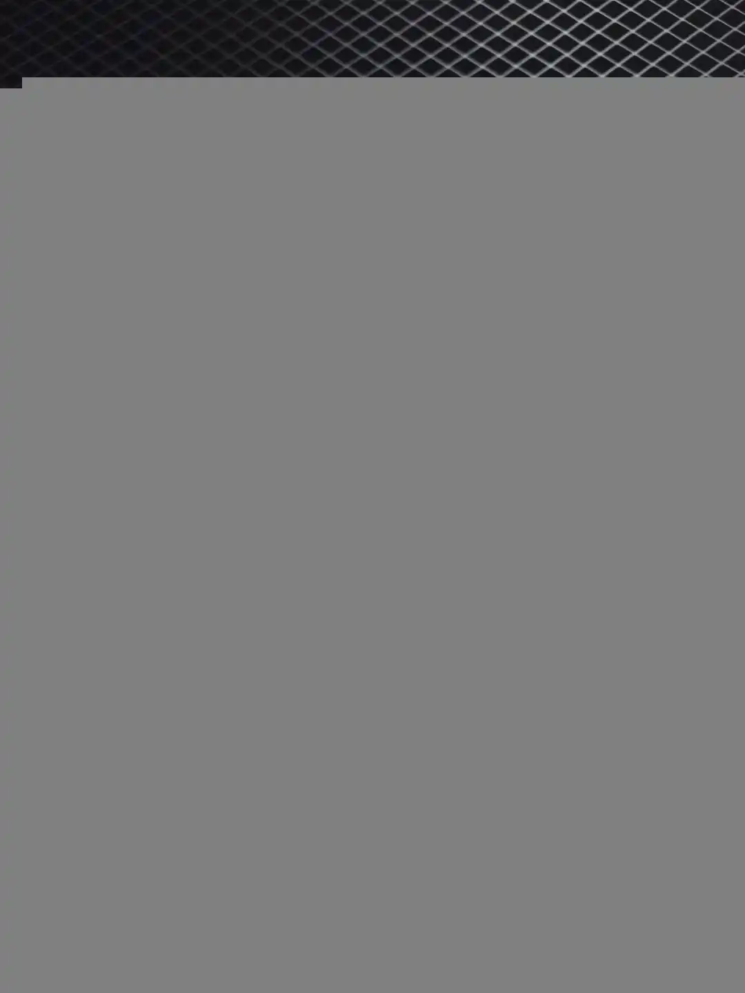 wsxc1741791214799_3.webp