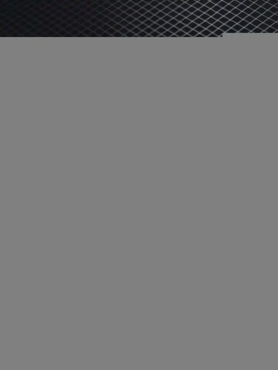 wsxc1741790956457_6.webp