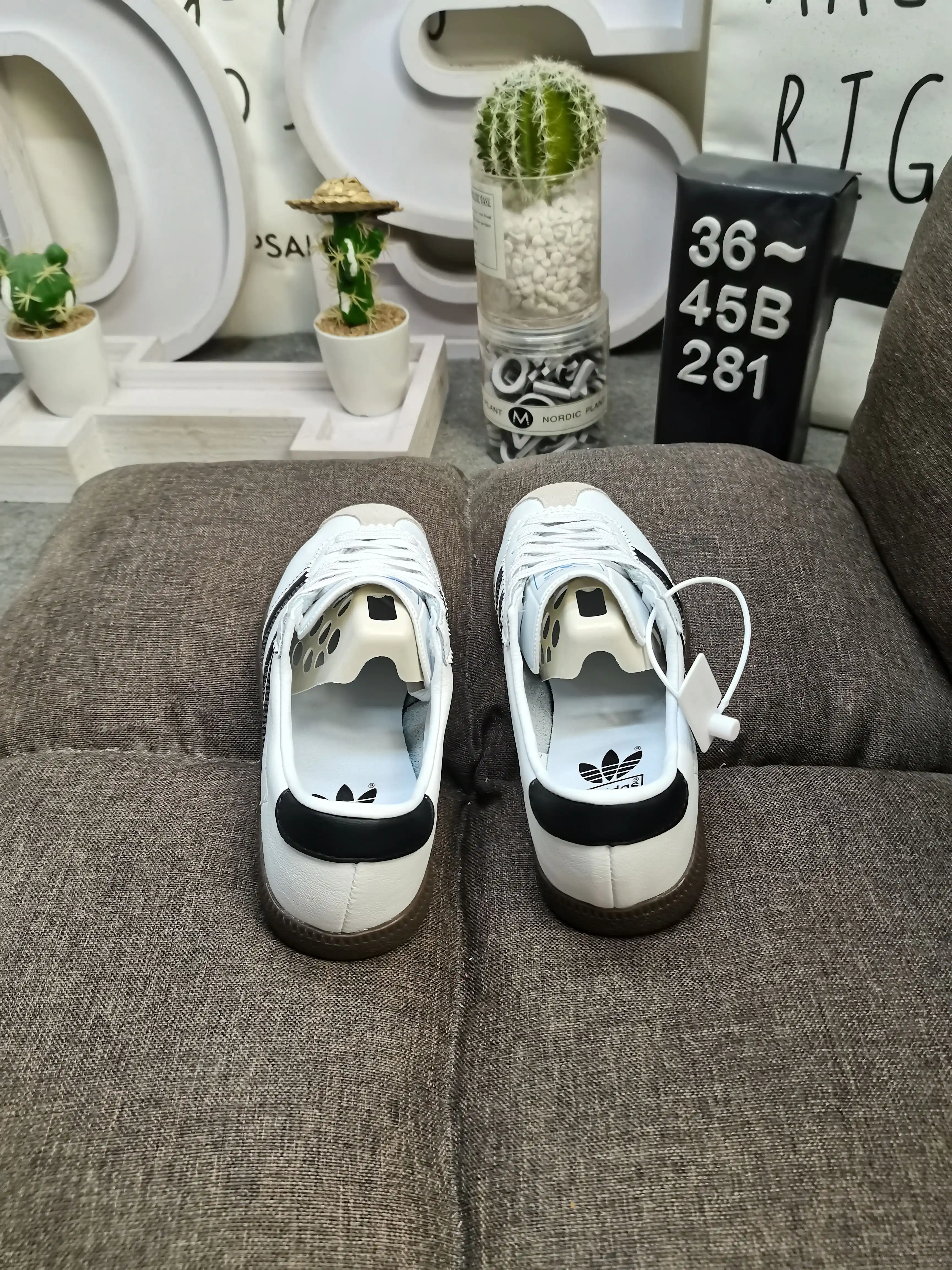 IMG_20240419_013633.webp