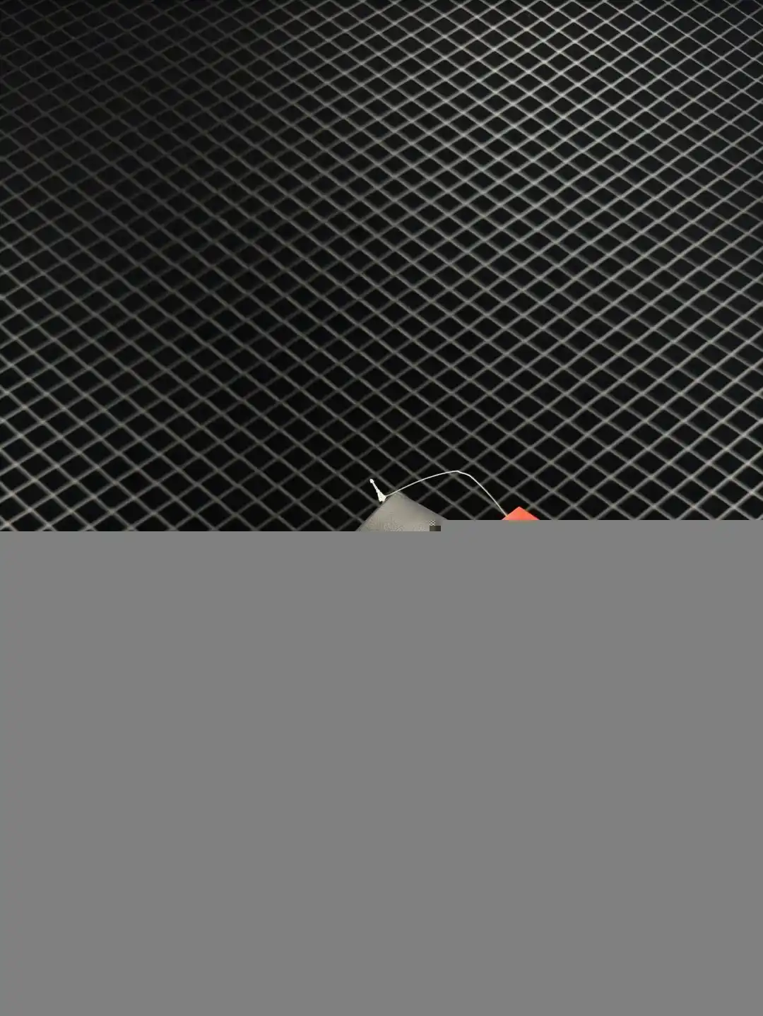 wsxc1742945506088_2.webp