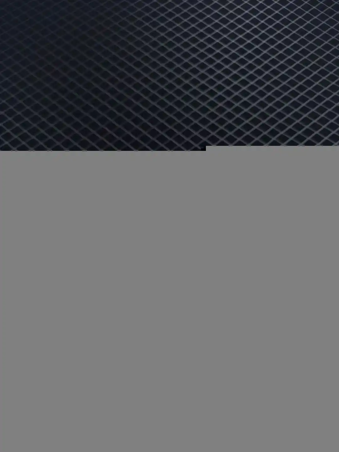 wsxc1741881492326_1.webp