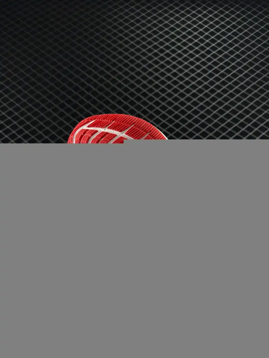 wsxc1744328351551_5.webp