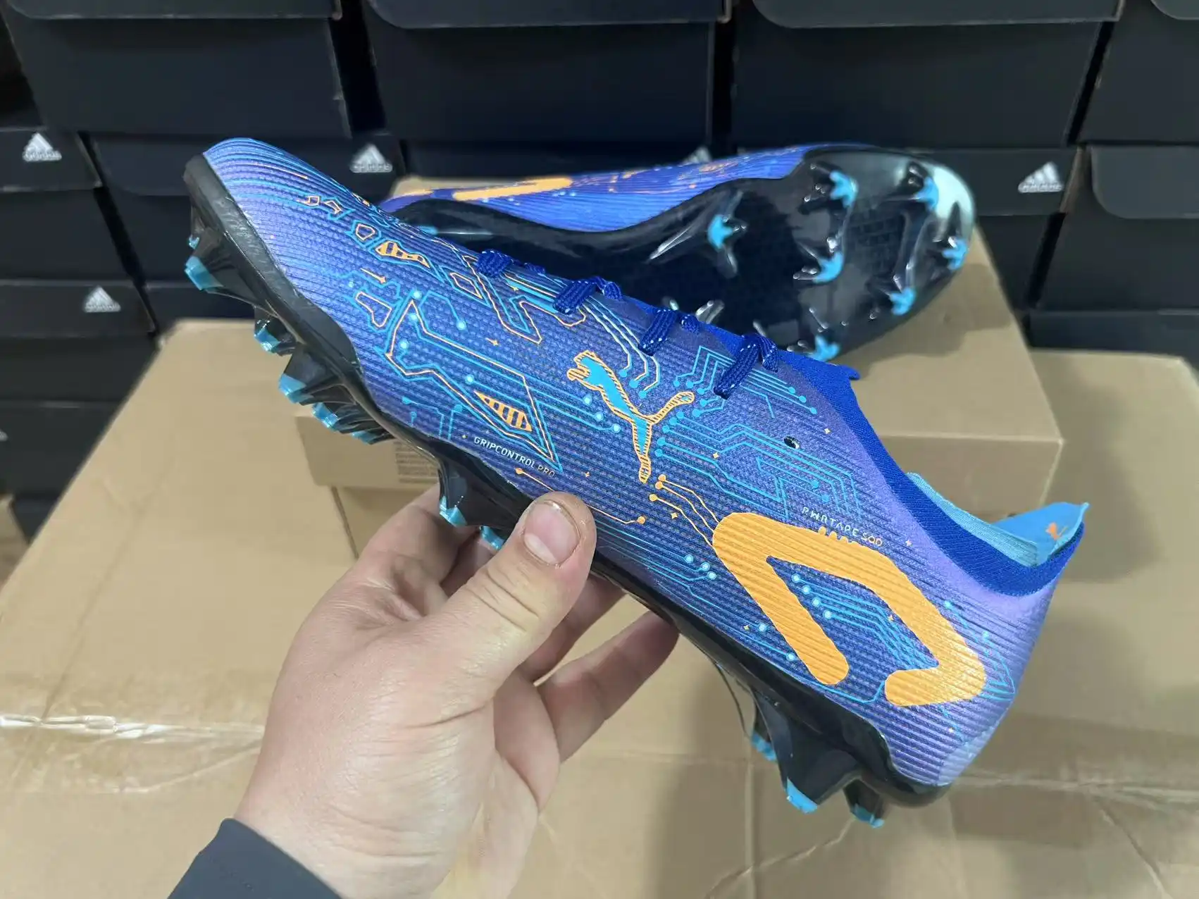 微信图片_202504061219391.webp