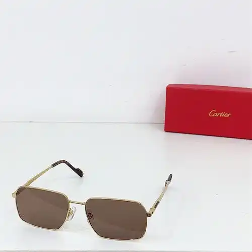 CT0528S