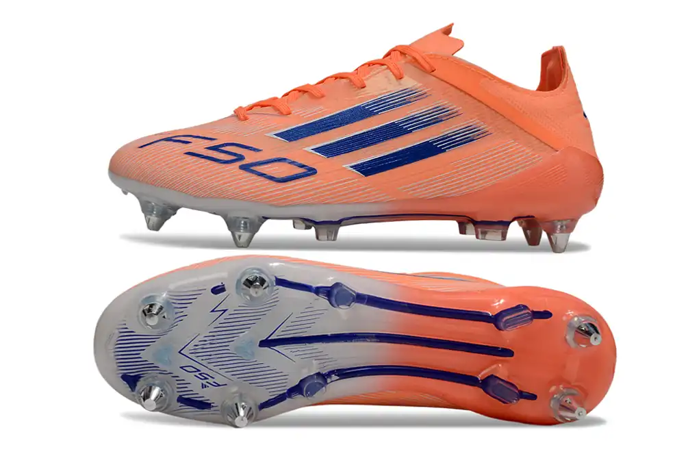 DSC_0221.webp