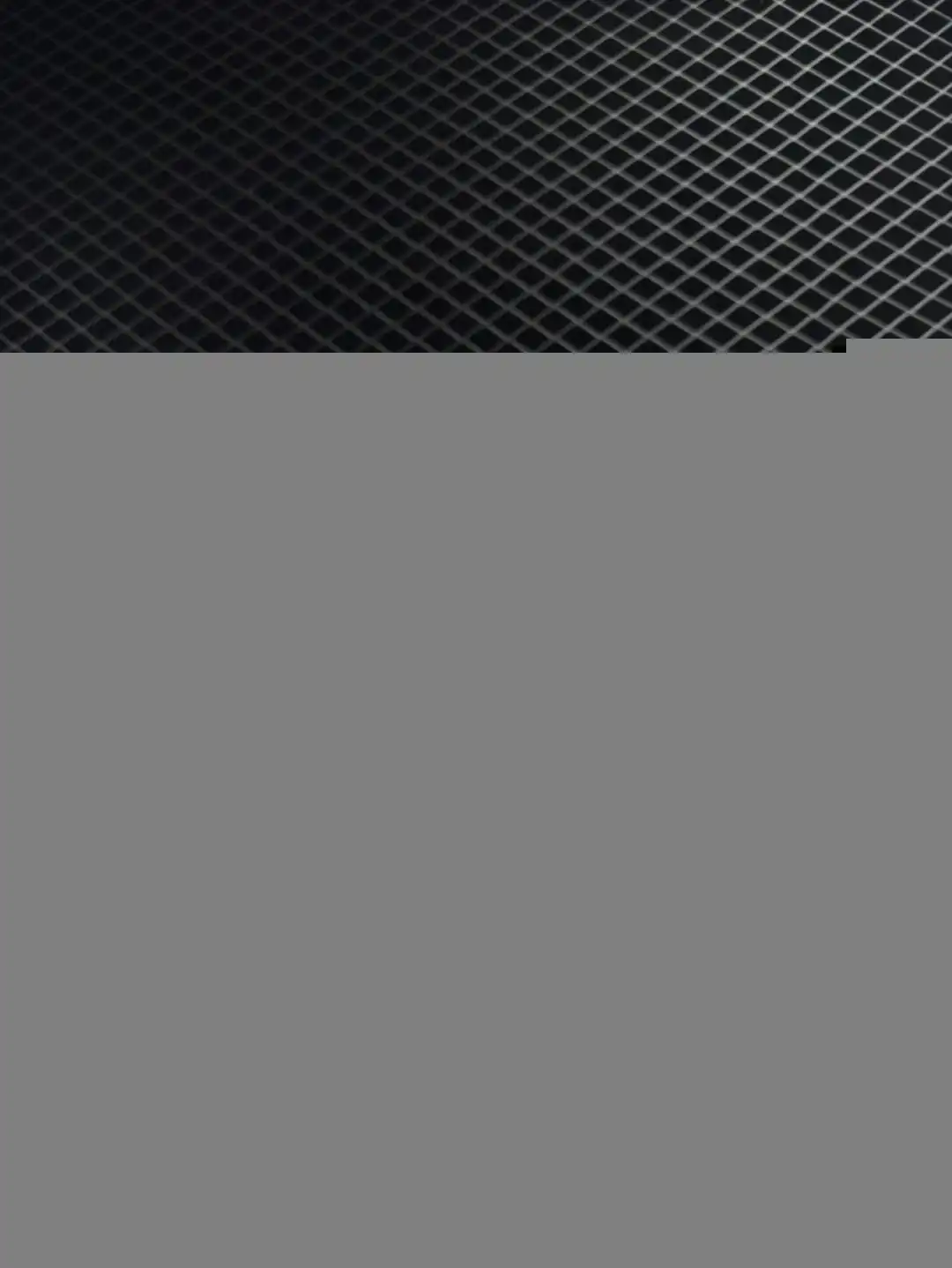 wsxc1747354540246_5.webp