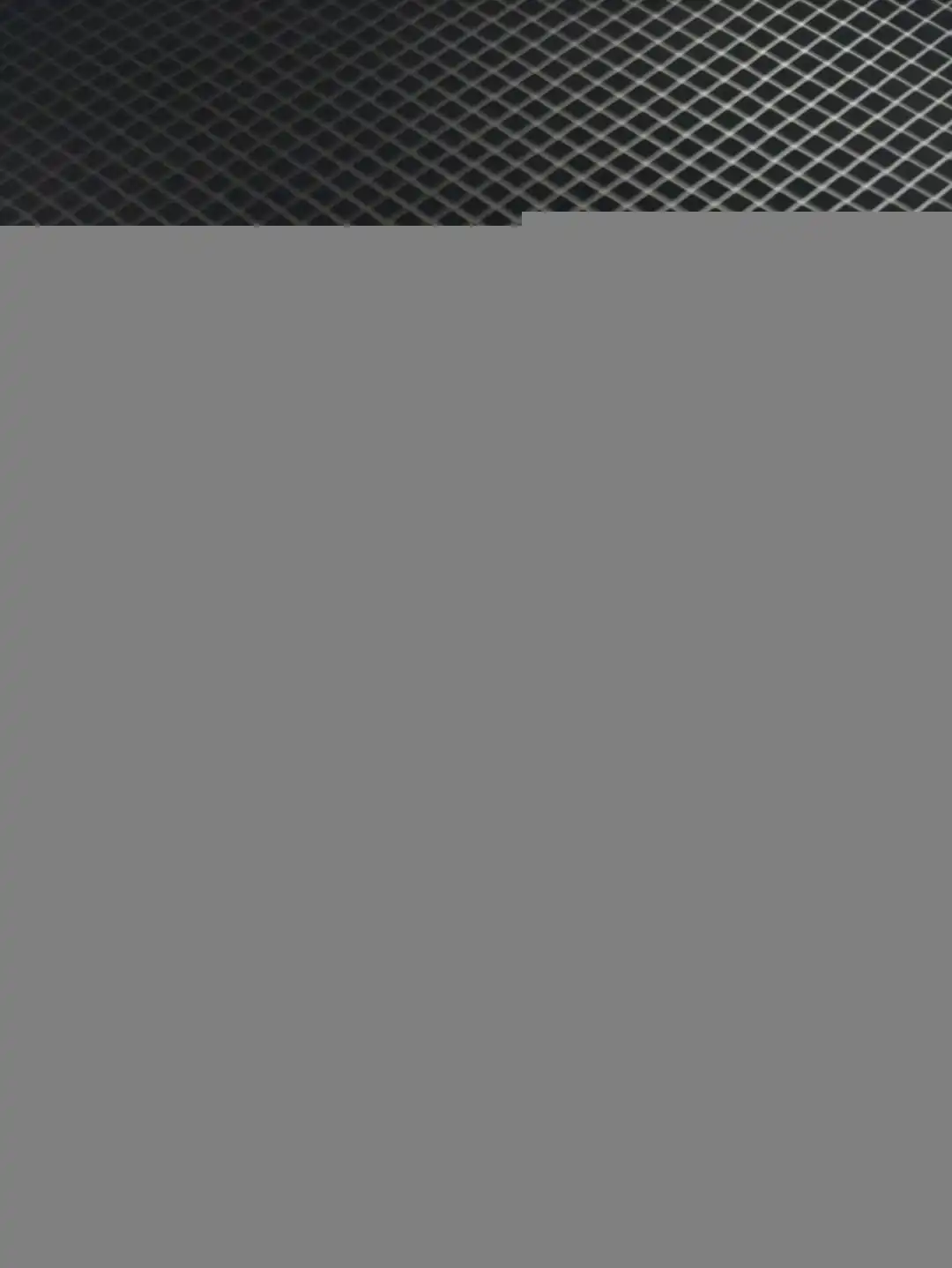wsxc1747529411802_2.webp