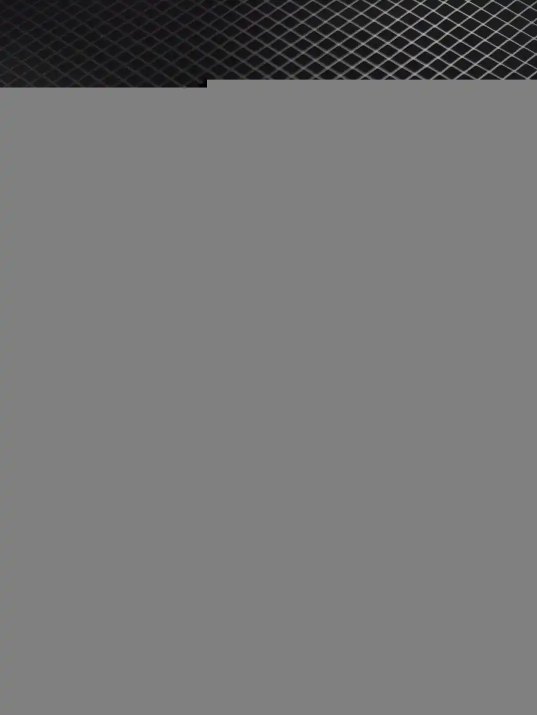 wsxc1749680800052_6.webp